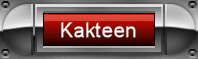 Kakteen