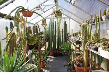 Blick ins Gew�chshaus Ende 2012